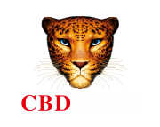 CBD智慧康养